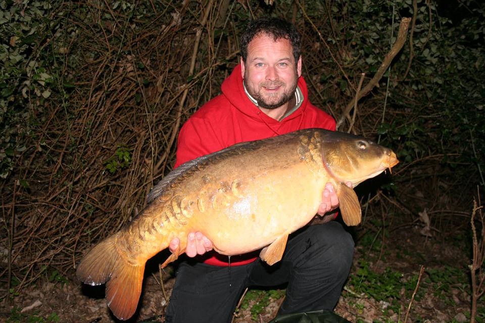 Momeli puternic aromate?